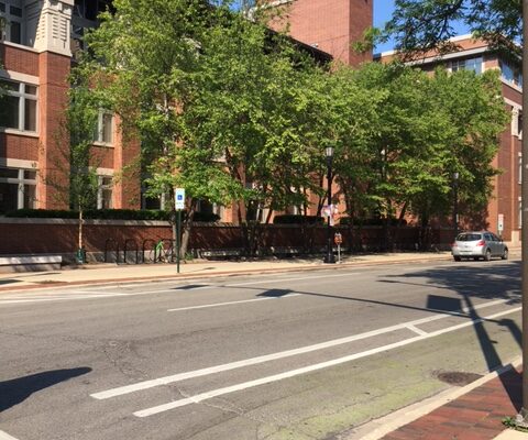 Library HR hire may have to wait for agreements on lease and intergovermental issues first