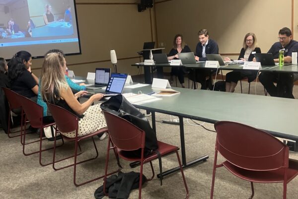 Library board gets down to business, refills committees, advances 2027 budget